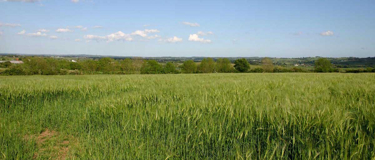 Lagan Valley