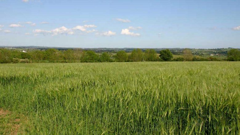 Lagan Valley