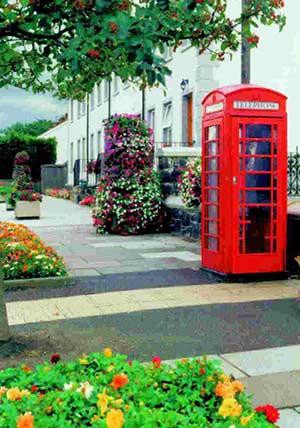 Attractive floral displays in Moira