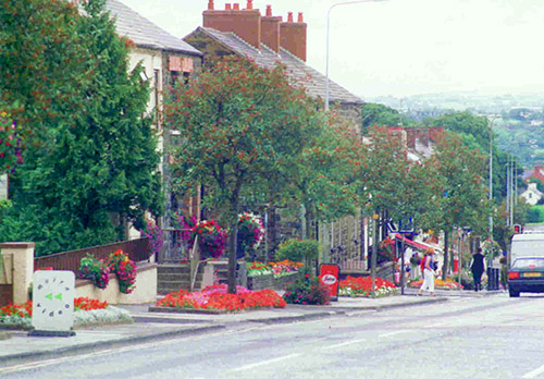 The village street in bloom