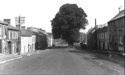 Moira Street with 4 trees