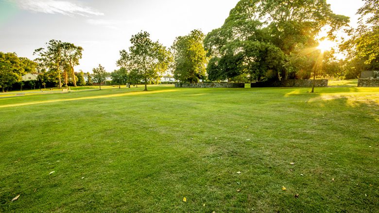 Moira Castle foundations